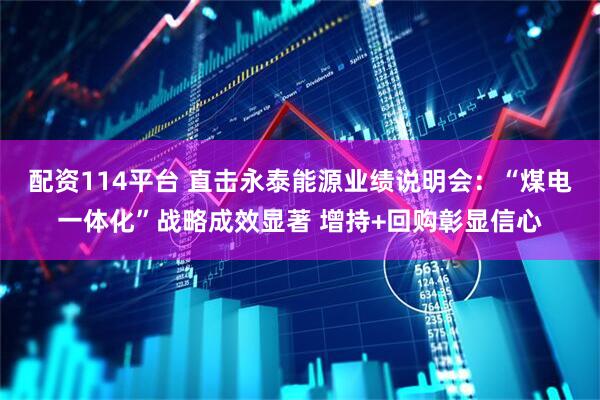 配资114平台 直击永泰能源业绩说明会：“煤电一体化”战略成效显著 增持+回购彰显信心