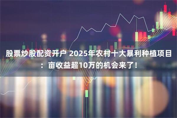 股票炒股配资开户 2025年农村十大暴利种植项目：亩收益超10万的机会来了！